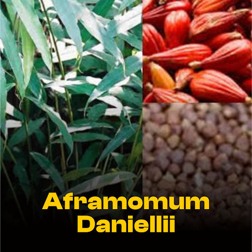 Five African Botanicals