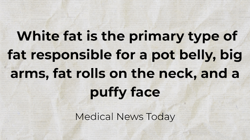 White Fat on stomach